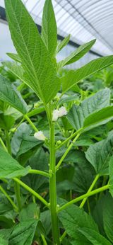 팜모닝 자유주제·자유게시판 게시글 이미지