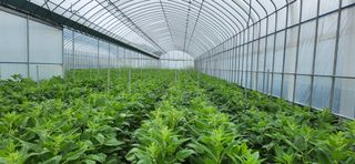 박종혁 님의 자유주제 · 자유게시판 작성글 사진