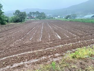 이정민님의 자유주제 · 자유게시판 작성글 사진