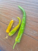 팜모닝 자유주제·자유게시판 게시글 이미지