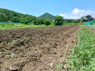 이정민님의 자유주제 · 자유게시판 작성글 사진