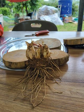 윤무섭님의 자유주제 · 자유게시판 작성글 사진