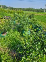 팜모닝 자유주제·자유게시판 게시글 이미지