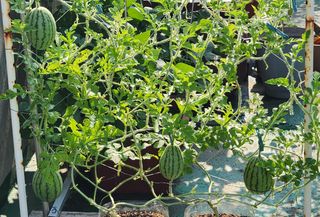 김선례님의 자유주제 · 칭찬해요 작성글 사진