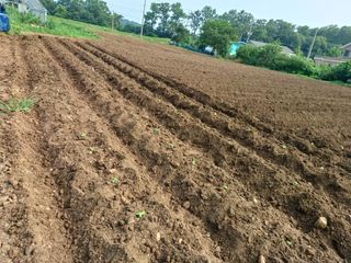 이정민님의 자유주제 · 자유게시판 작성글 사진