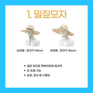 아시아종묘님의 자유주제 · 자유게시판 작성글 사진