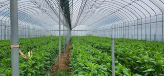 박종혁 님의 자유주제 · 자유게시판 작성글 사진