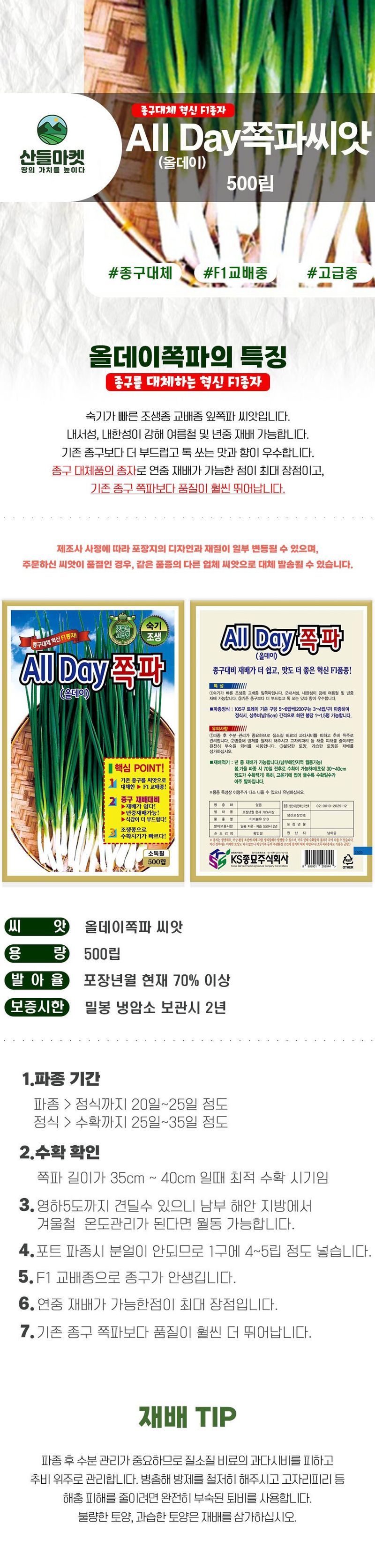 산들마켓,씨앗마켓님의 장터 판매 상품 [산들마켓 올데이 쪽파씨앗 500립 종구 대체 연중재배 가능 숙기 빠른 조생종 F1 고급 쪽파씨 종자] 첨부 사진