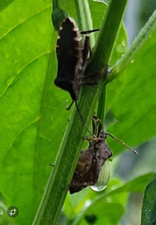 낙엽교목류21691님의 자유주제 · 자유게시판 작성글 사진