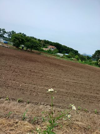 이정민님의 자유주제 · 자유게시판 작성글 사진