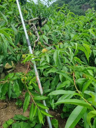 김용대님의 자유주제 · 자유게시판 작성글 사진