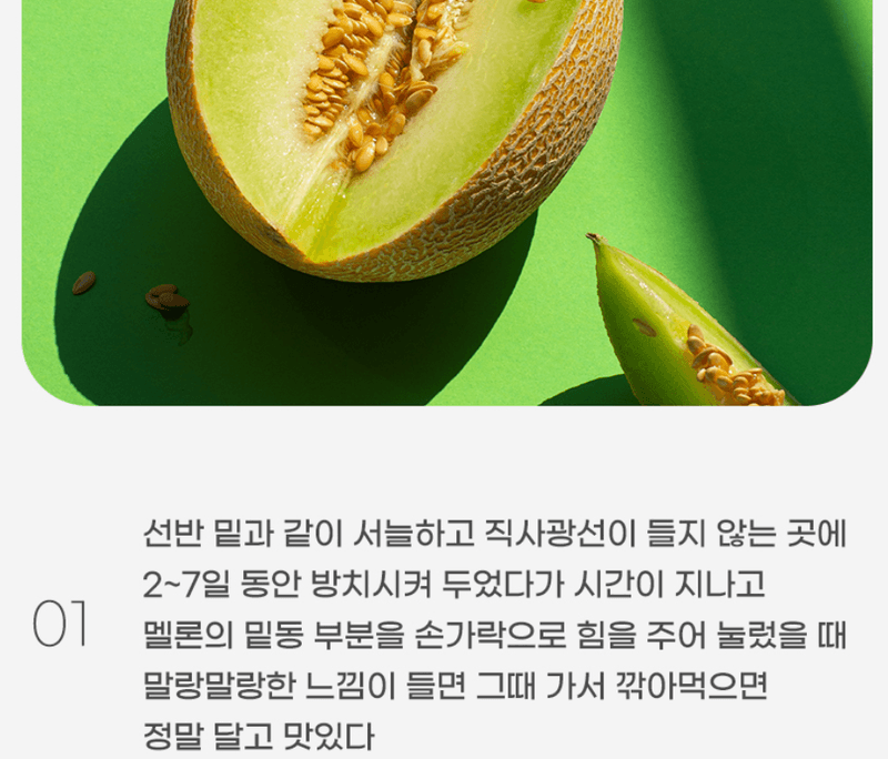 스피드번님의 장터 판매 상품 [머스크 메론] 첨부 사진