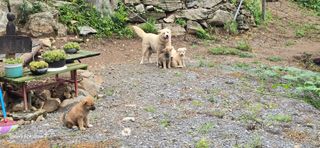 이종록님의 자유주제 · 자유게시판 작성글 사진