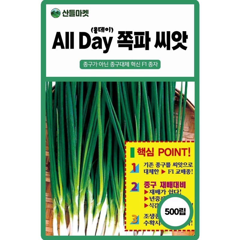 장터 상품 [산들마켓 올데이 쪽파씨앗 500립 종구 대체 연중재배 가능 숙기 빠른 조생종 F1 고급 쪽파씨 종자] 썸네일