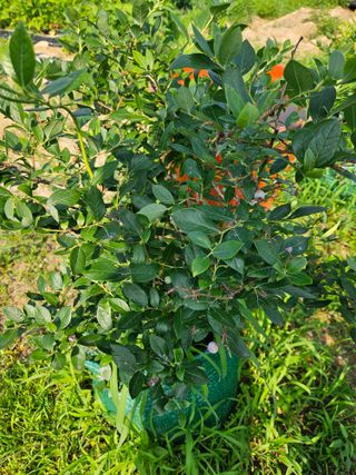 알 수 없음님의 자유주제 · 자유게시판 작성글 사진