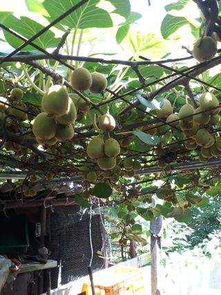 조동원님의 자유주제 · 자유게시판 작성글 사진