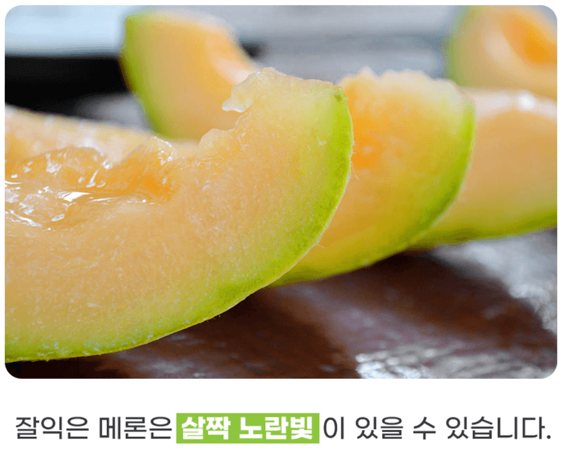 스피드번님의 장터 판매 상품 [머스크 메론] 첨부 사진