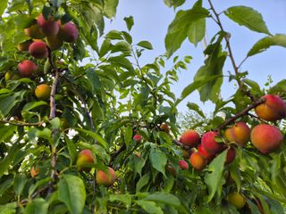 천운산님의 자유주제 · 자유게시판 작성글 사진