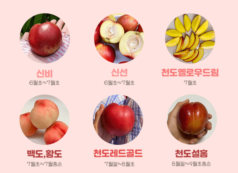 스피드번님의 장터 판매 상품 [딱딱이 털복숭아] 첨부 사진