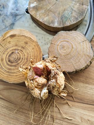 윤무섭님의 자유주제 · 자유게시판 작성글 사진