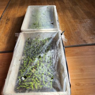 고추13184님의 자유주제 · 자유게시판 작성글 사진