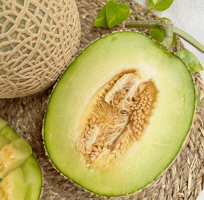 스피드번님의 장터 판매 상품 [머스크 메론] 첨부 사진