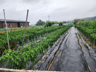 최미라님의 자유주제 · 건의해요 작성글 사진