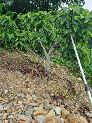 김용대님의 자유주제 · 자유게시판 작성글 사진