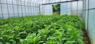 박종혁 님의 자유주제 · 자유게시판 작성글 사진