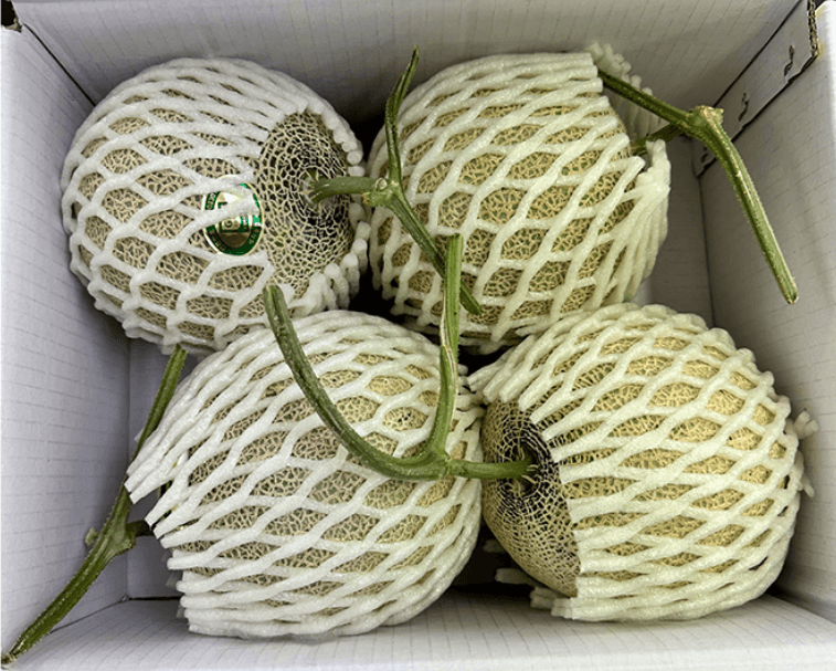 스피드번님의 장터 판매 상품 [머스크 메론] 첨부 사진