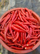 팜모닝 자유주제·사진전 게시글 이미지