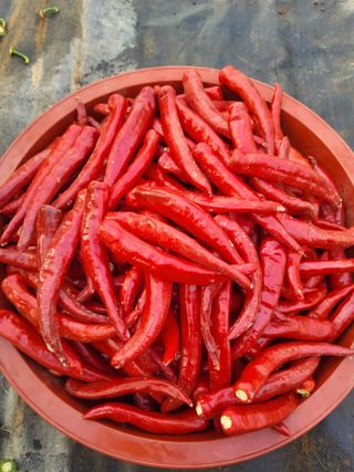 홍춘이님의 자유주제 · 사진전 작성글 사진