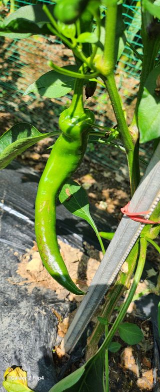 청람정상님의 자유주제 · 자유게시판 작성글 사진