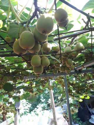 조동원님의 자유주제 · 자유게시판 작성글 사진