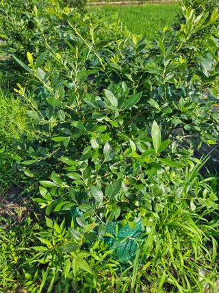 알 수 없음님의 자유주제 · 자유게시판 작성글 사진