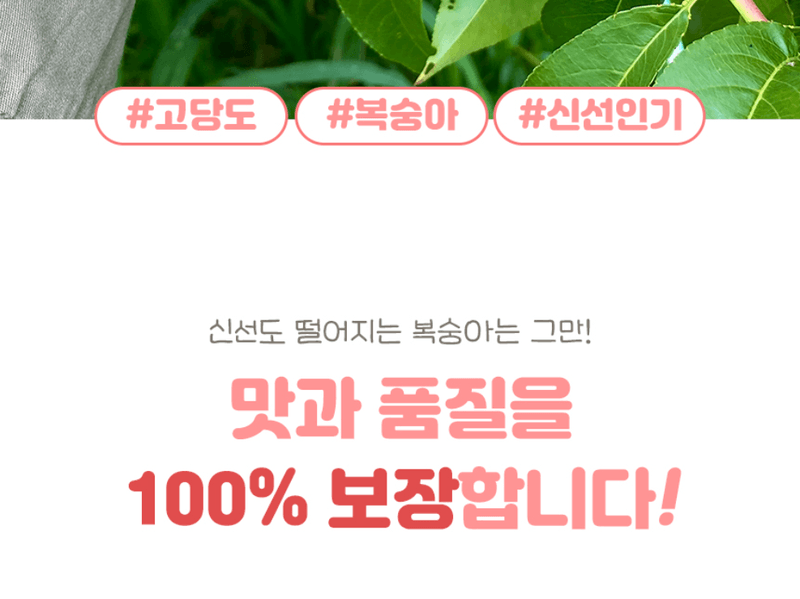 스피드번님의 장터 판매 상품 [딱딱이 털복숭아] 첨부 사진