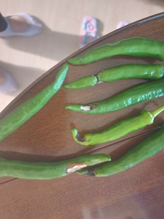 최미라님의 자유주제 · 건의해요 작성글 사진