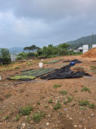 이정민님의 자유주제 · 자유게시판 작성글 사진