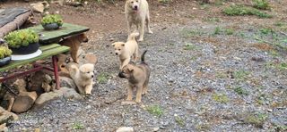 이종록님의 자유주제 · 자유게시판 작성글 사진