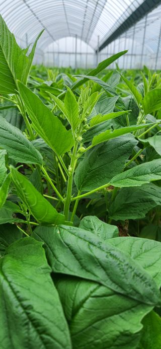 박종혁 님의 자유주제 · 자유게시판 작성글 사진