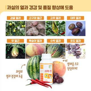 누보농장님의 자유주제 · 자유게시판 작성글 사진