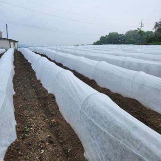 고추13184님의 자유주제 · 자유게시판 작성글 사진