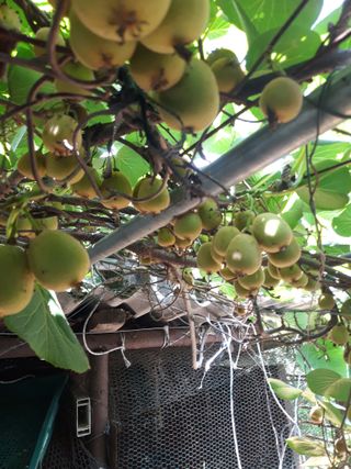 조동원님의 자유주제 · 자유게시판 작성글 사진