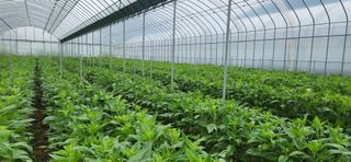 박종혁 님의 자유주제 · 자유게시판 작성글 사진