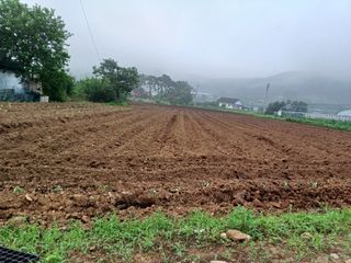 이정민님의 자유주제 · 자유게시판 작성글 사진