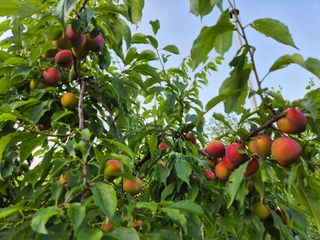 천운산님의 자유주제 · 자유게시판 작성글 사진