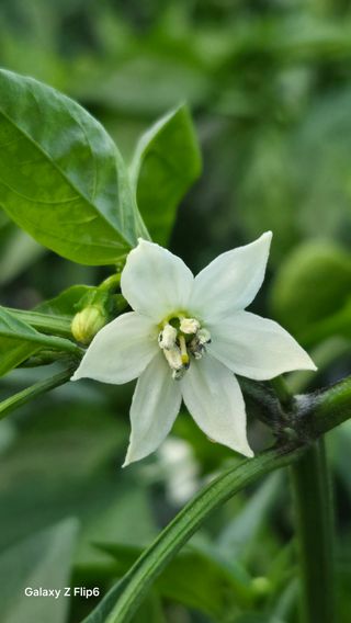 차상만님의 자유주제 · 자유게시판 작성글 사진