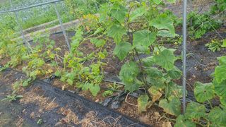 노한수님의 자유주제 · 자유게시판 작성글 사진