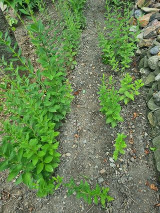 김용대님의 자유주제 · 자유게시판 작성글 사진