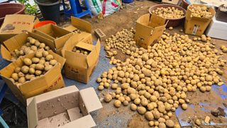 황규복(달구지)님의 자유주제 · 자유게시판 작성글 사진